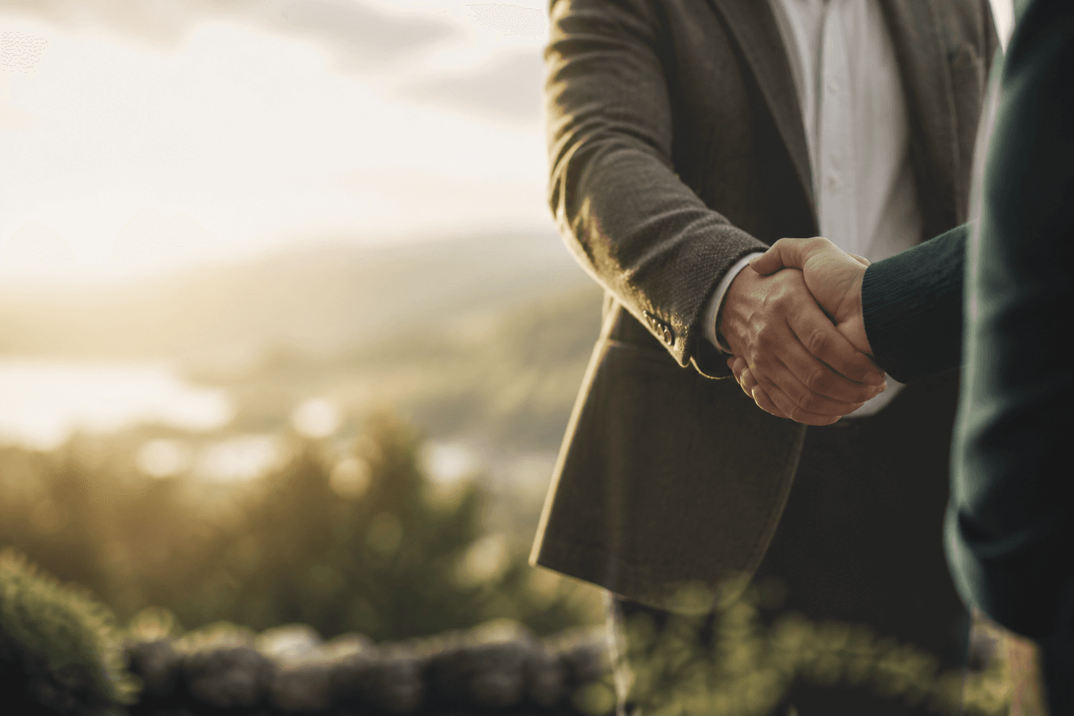 Client reviews and testimonials
